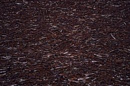Agriculture;-Archipel-des-Comores;-Épice;-France;-Gousses;-Gros-plan;-Kaleidos;-Kaleidos-images;-La-parole-à-limage;-Laurent-Abad;-Mayotte;-Océan-Indien;-Stories-Pictures;-Vanille
